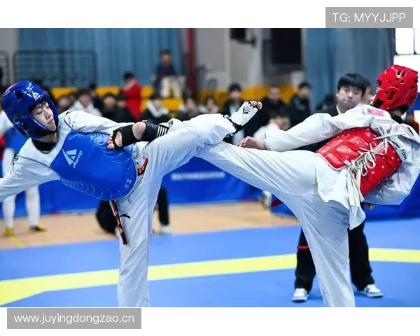 世界顶级跆拳道运动员排名与荣誉成就分析 世界顶级跆拳道运动员排名与荣誉成就分析