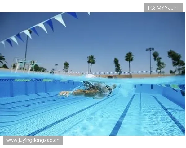 全面掌握泳池赛事亮点的超实用游泳观赛技巧与入门全程详尽精要指南